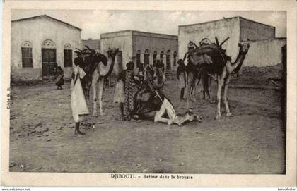 Djibouti - Retour dans la brousse