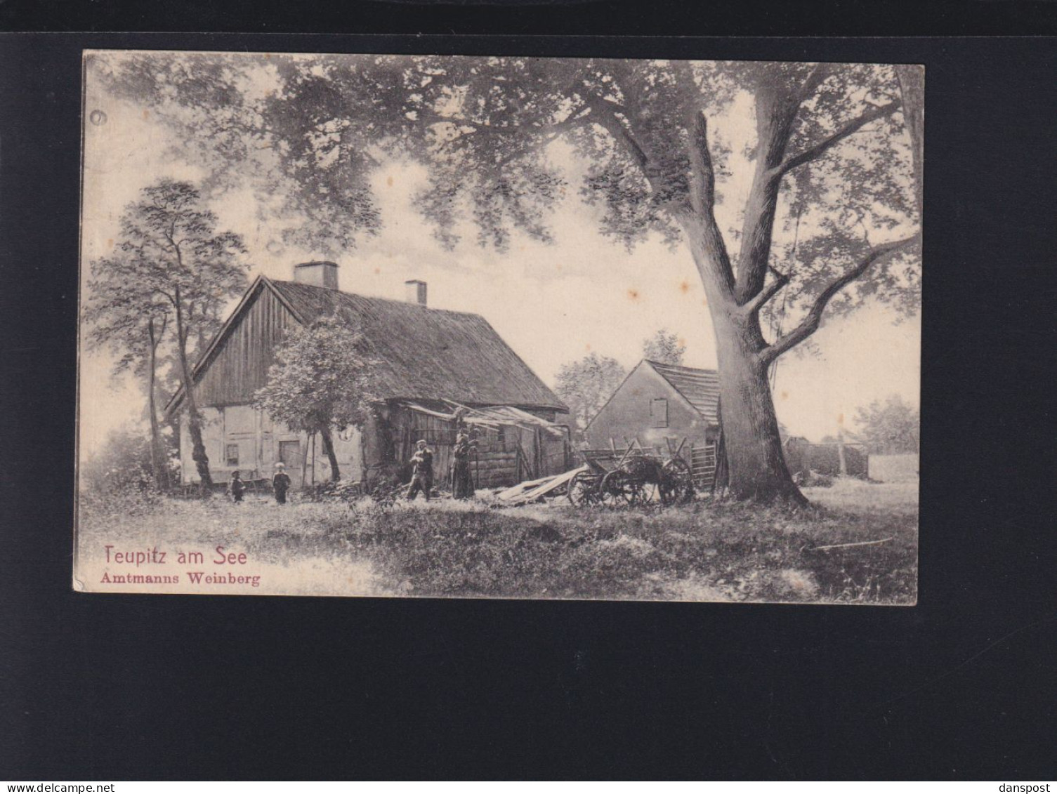 Dt. Reich AK Teupitz am See Amtsmanns Weinberg 1908