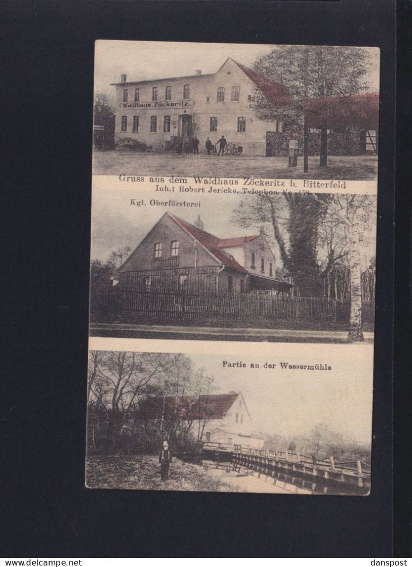 Dt. Reich AK Waldhaus Zöckeritz bei Bitterfeld