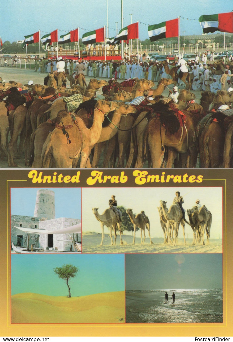 Dubai Arabic Camel Horse Race Racing United Arab Emirates 2x Postcard s
