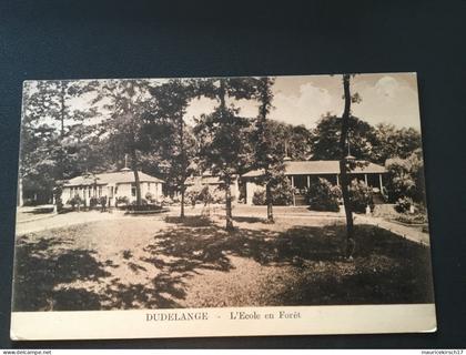 Luxembourg carte postale Dudelange ecole en foret