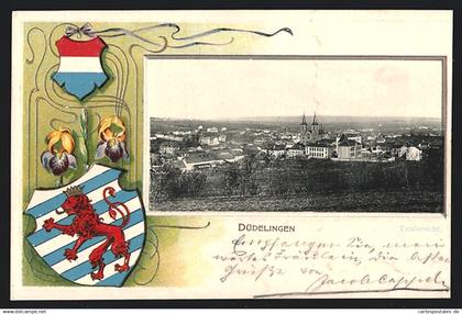 AK Düdelingen, Totalansicht vom Feld aus, Wappen im Passepartout