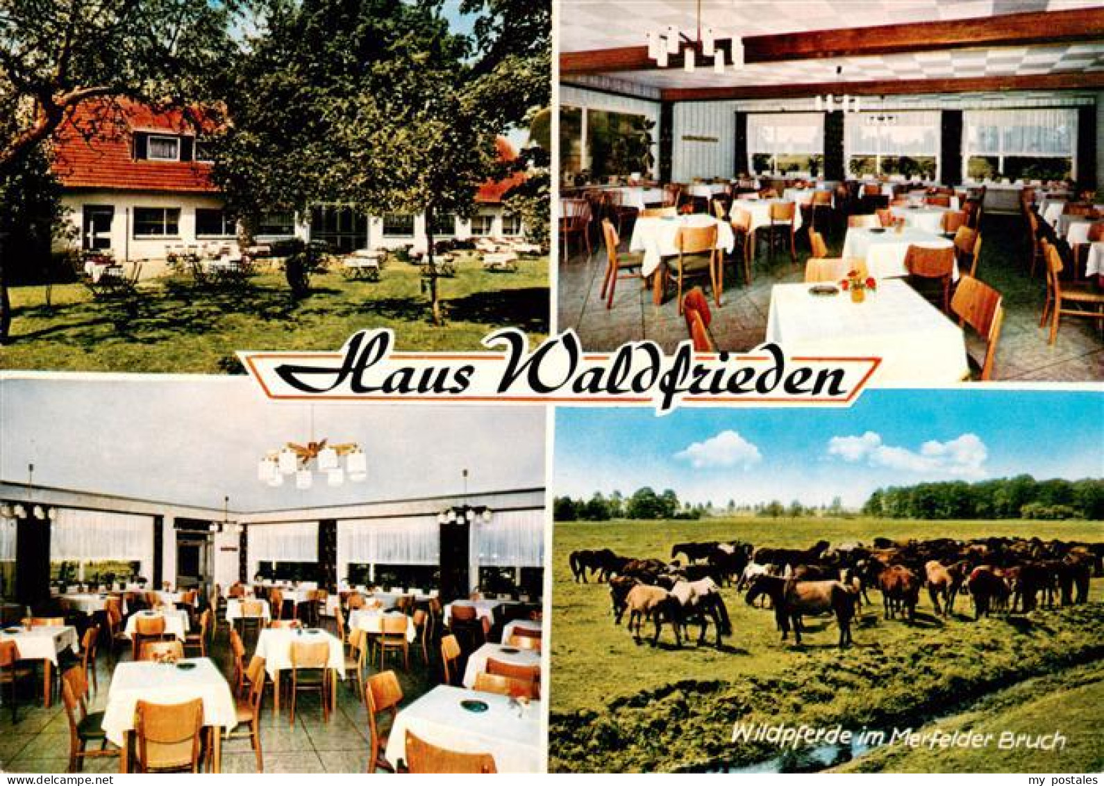 Duelmen Haus Waldfrieden Gastraeume Wildpferde im Merfelder Bruch