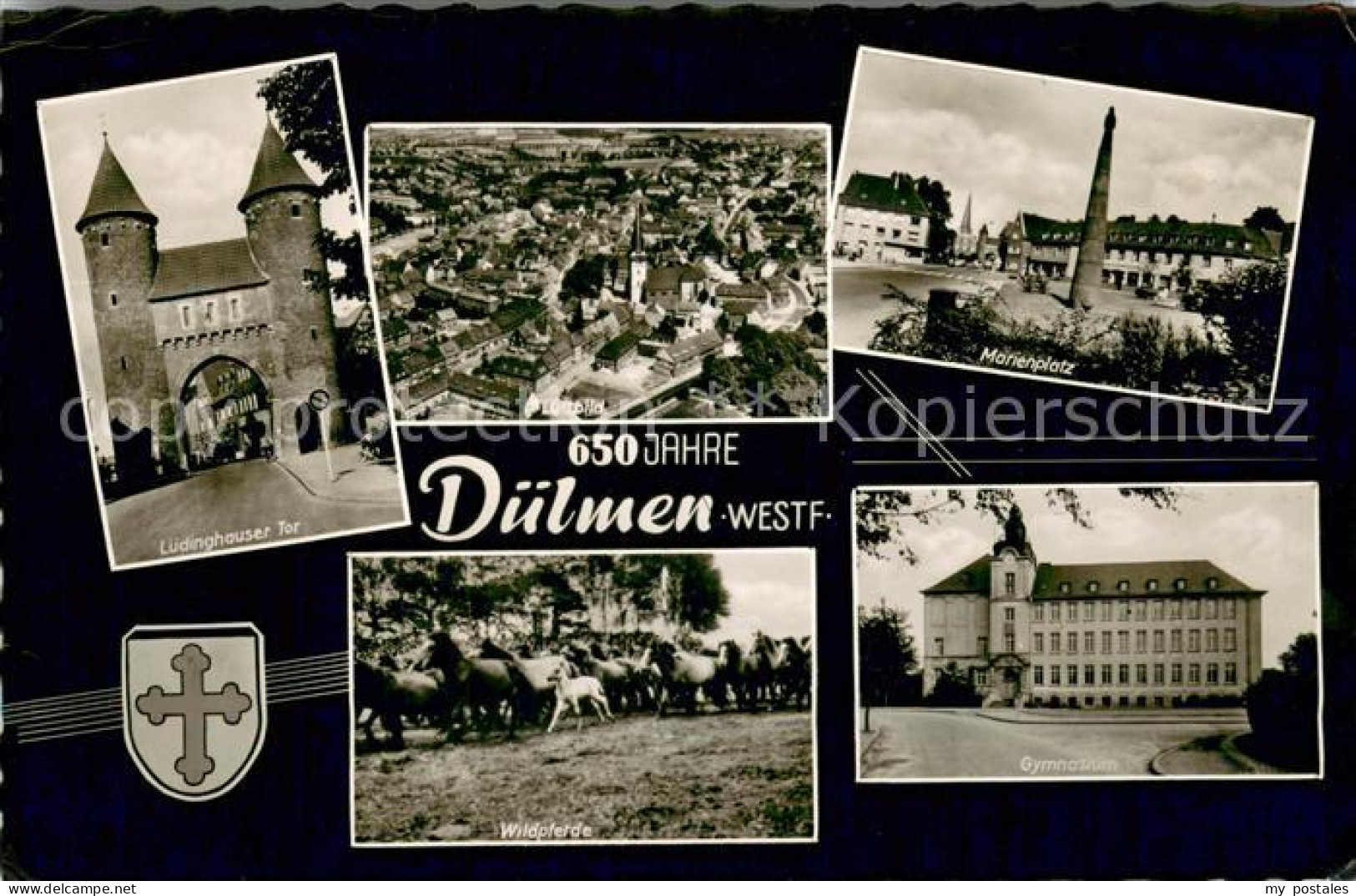 Duelmen Jubilaeum 650 Jahre Duelmen Wildpferde Marienplatz Luedinghauser-Tor