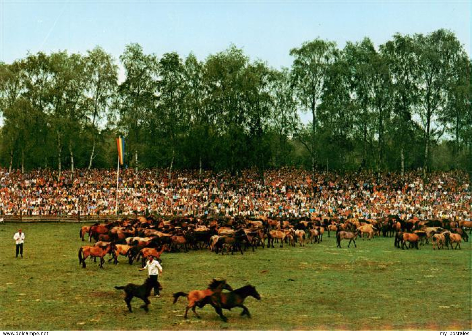 Duelmen Wildpferdefang in Merfelder Bruch