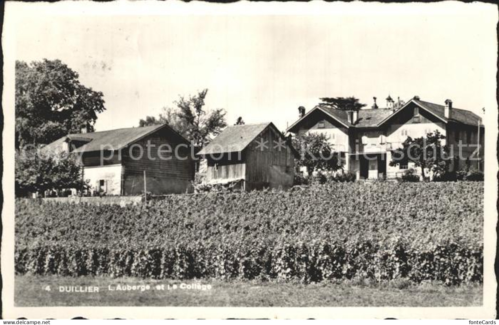 Duillier Auberge College