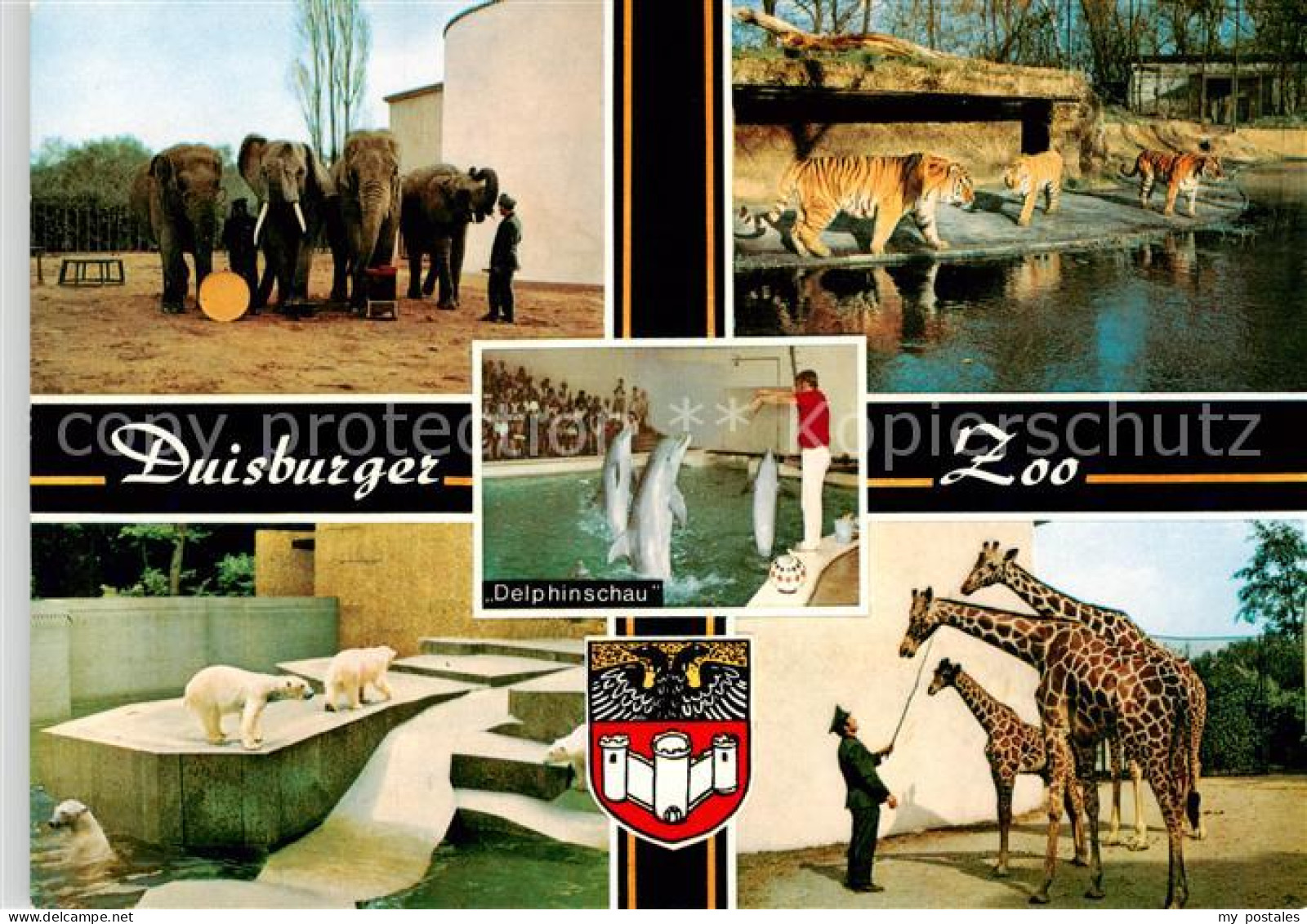 Duisburg  Ruhr Zoo Duisburg Eisbaeren Elefanten Giraffen Tiger