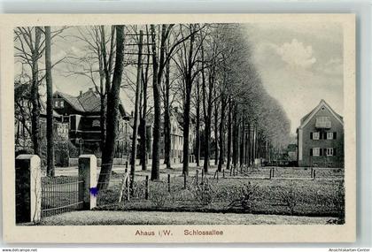 13258216 - Ahaus