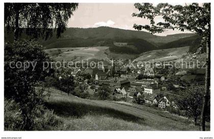 Alpirsbach Panorama