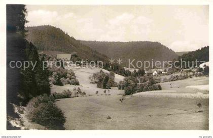 Alpirsbach Panorama