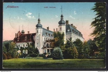 AK Altdöbern, Gräfliches Schloss mit Parkpartie