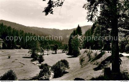 Altensteig Schwarzwald Nagoldtal
