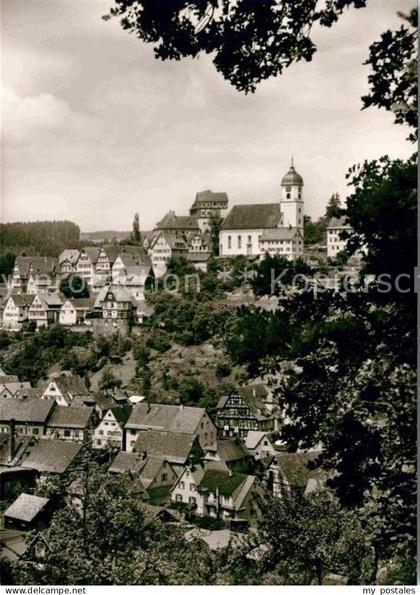 Altensteig Schwarzwald Panorama