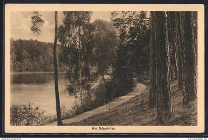 AK Altlandsberg, Ihlandsee, Panorama mit Waldweg