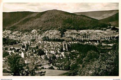 Amorbach Miltenberg Panorama