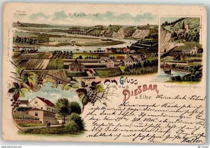 01612 O8401 Diesbar-Seußlitz 1899 Lithographie Schloss Hirschstein Elbta... - 13619955