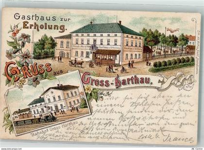 01909 O8504 Großharthau 1898 Lithographie Gasthaus zur Erholung Bahnhof ... - 13638474