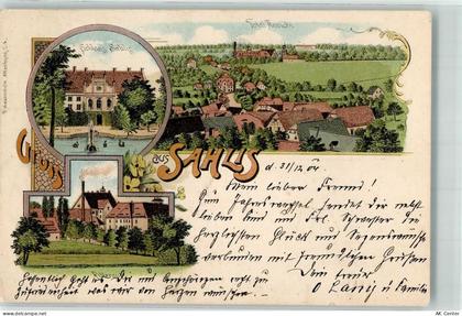 04655 O7234 Kohren-Sahlis 1904 Lithographie Schloss Rittergut - 13636298
