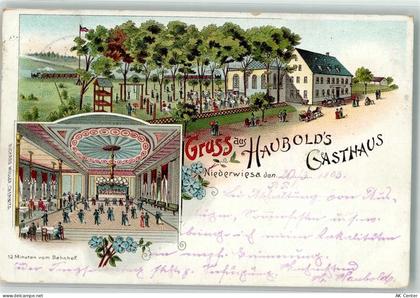 09577 O9387 Niederwiesa 1903 Lithographie Gasthaus Haubold Garten Ballsa... - 13629351