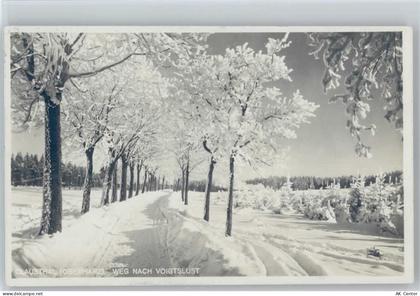 38678 W3392 Clausthal-Zellerfeld - Winter - 11008521