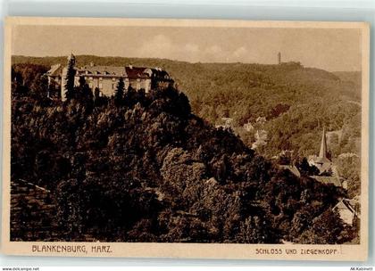 38889 O3720 Blankenburg Harz - Schloß Blankenburg Ziegenkopf - 39203946