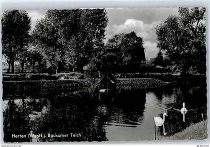 45699 W4352 Herten , Westf - Backumer Teich - 51048451