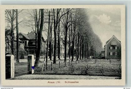 48683 W4422 Ahaus - Schloßallee - 13258216