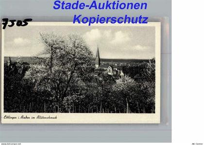 76275 W7505 Ettlingen - Ettlingen - 50281962