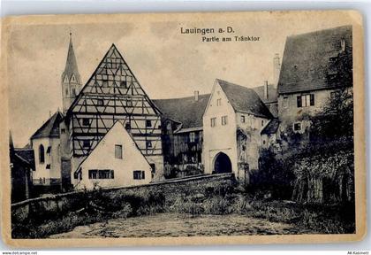 89415 W8882 Lauingen (Donau) - Tränktor - 51435807