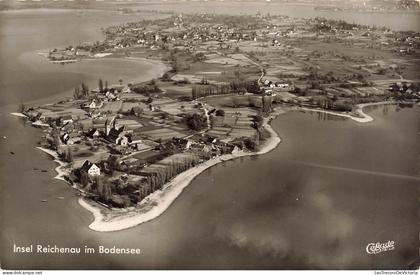 ALLEMAGNE - Insel Reichenau - Bodensee - Île - Lac de Constance - Champs - CPA