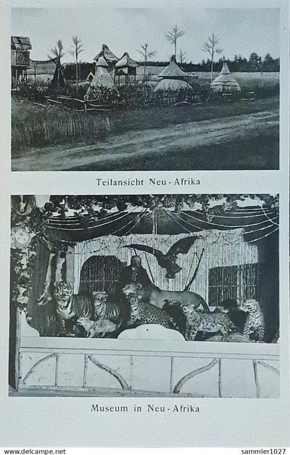 Los  vom 14.05  Ansichtskarte Neu-Afrika in Ahrensdorf bei Templin  1934