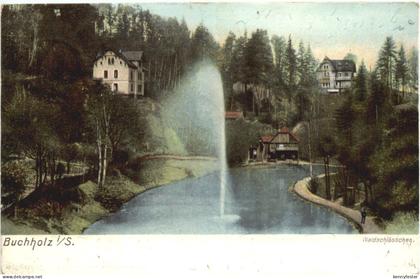 Buchholz in Sachsen