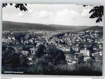 50973123 - Meschede