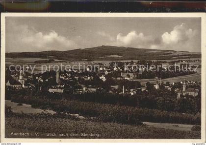 Auerbach Vogtland Steinberg Stadtansicht