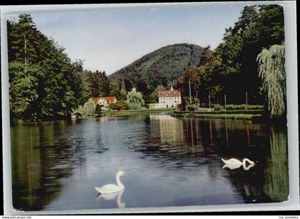 Bad Bergzabern Schwanenweiher