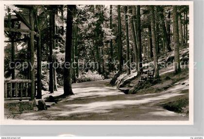 Bergzabern Bad Philosophenweg