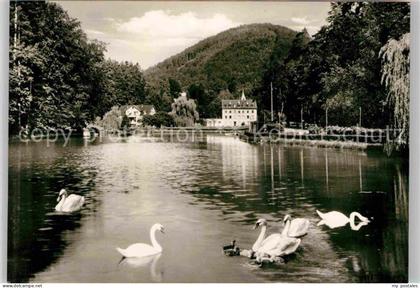 Bergzabern Bad Schwanenweiher