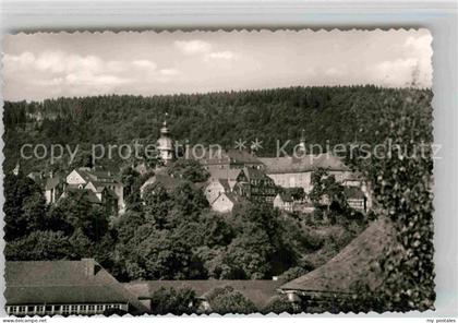 Berleburg Bad Panorama