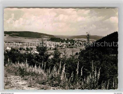 Berleburg Bad Panorama