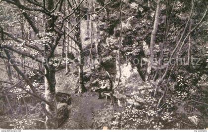 Bad Bertrich Dachsloecher