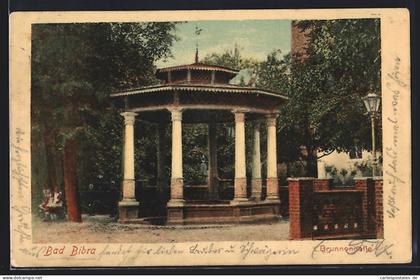 AK Bad Bibra, Brunnenhalle