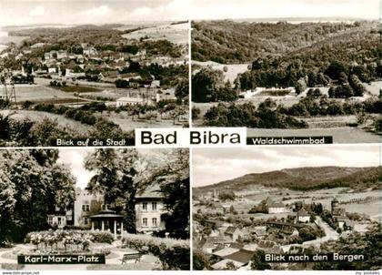 Bad Bibra Stadtblick Waldschwimmbad Karl Marx Patz Panorama