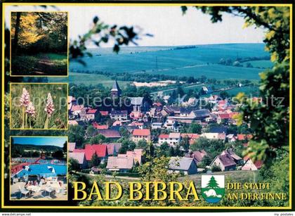 Bad Bibra Stadtpanorama Waldpartie Natur Freibad