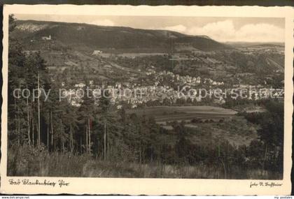 42476961 Bad Blankenburg Panorama Bad Blankenburg