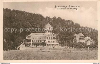 Blankenburg Bad Sanatorium am Goldberg