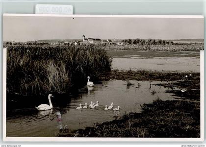 40006039 - Bad Buchau