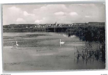 Bad Buchau Federsee