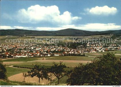Bad Camberg Panorama
