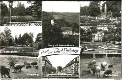 Bad Driburg Bad Driburg