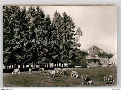 Bad Duerrheim WaldCafe
